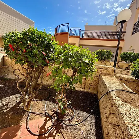 Apartment Clara Fanabe Costa Adeje (Tenerife) Exterior photo